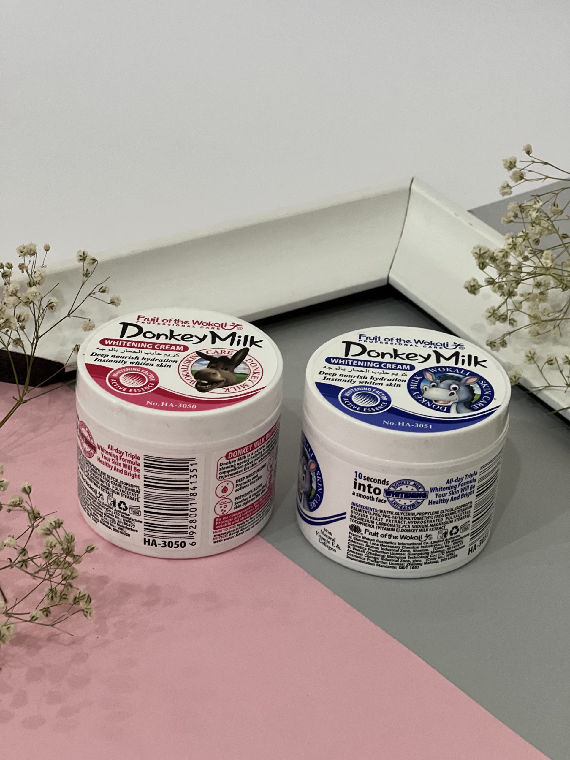 F1C55534-6853-488E-B688-4A51C48D3941